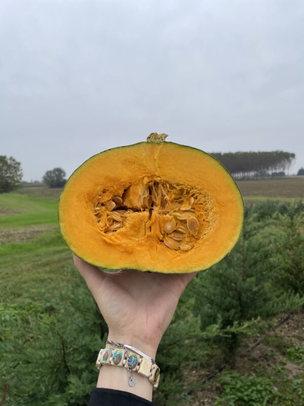 Vanity LA DELICATA (8kg c.a.) - immagine 3