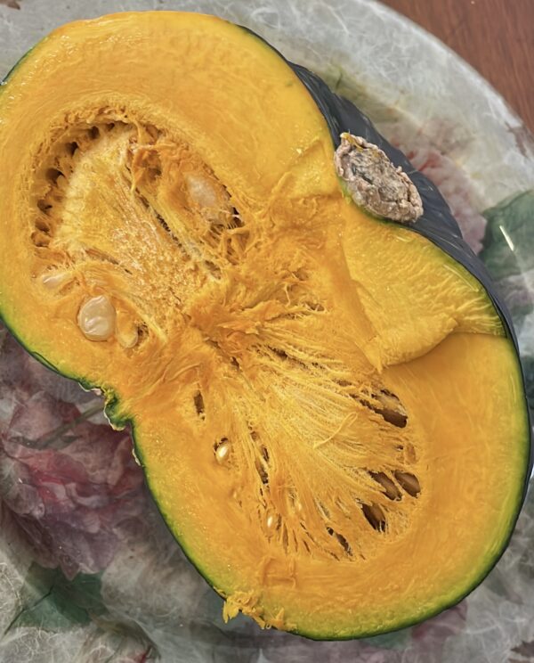 ZUCCA NEFERTITI | Happy Box [8kg c.a.] - immagine 4