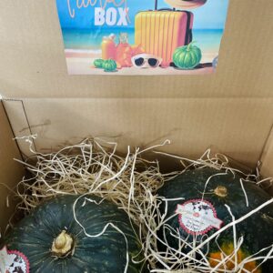 ZUCCA NEFERTITI | Travel Box [6.5kg c.a.]