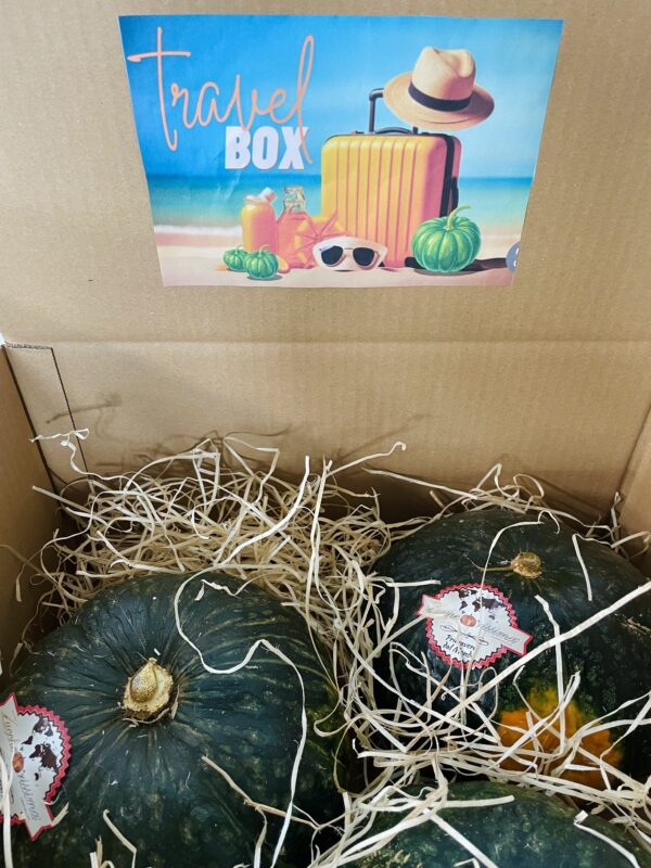 ZUCCA NEFERTITI | Travel Box [6.5kg c.a.]