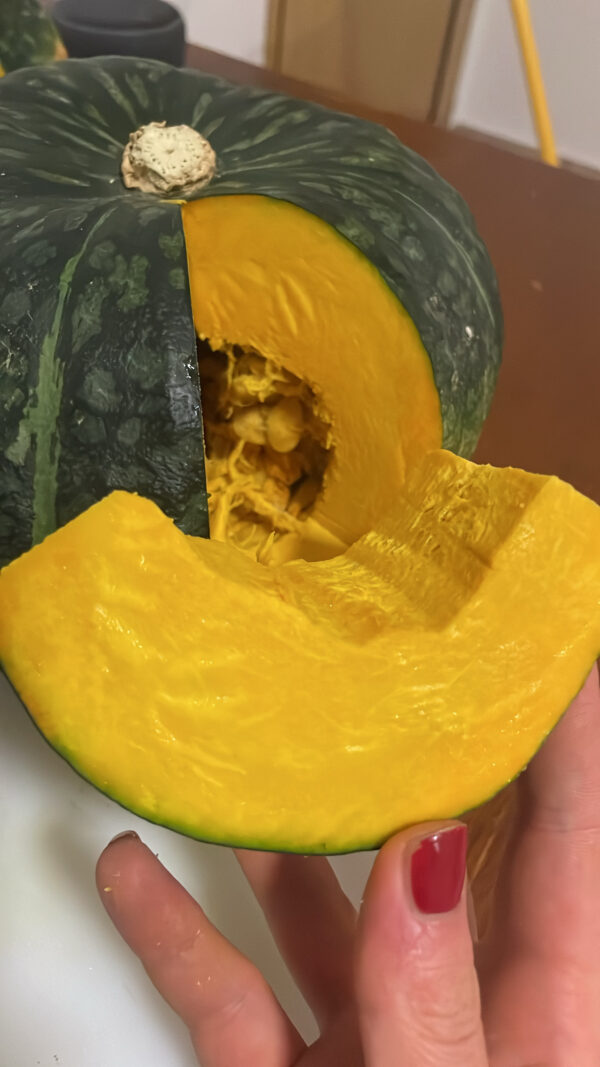 Reginetta Sicula | Dulcimaks ADELASIA | 1zucca [4.5kg c.a.] - immagine 2
