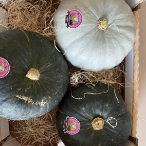CARDUCCI & STELLA22 | Happy Box [9kg c.a.]