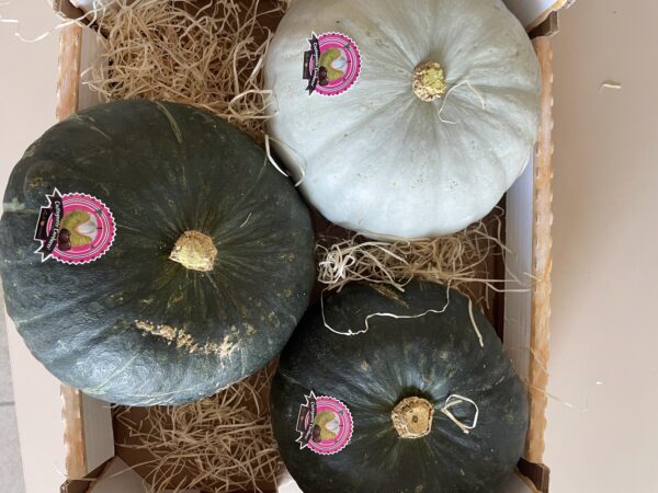 CARDUCCI & STELLA22 | Happy Box [9kg c.a.]