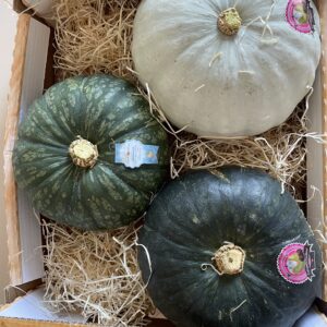 CARDUCCI & PARADISO & STELLA22 | Happy Box [9kg c.a.]