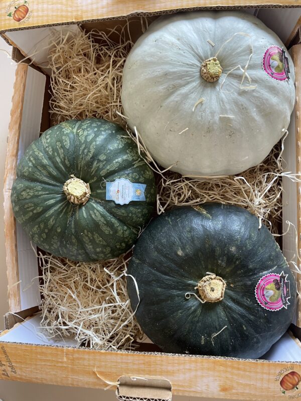CARDUCCI & PARADISO & STELLA22 | Happy Box [9kg c.a.]