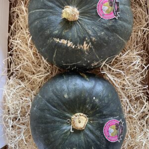 STELLA22 & PARADISO | MIX Mini Box [6kg c.a.]