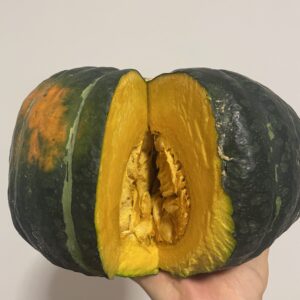 Reginetta Sicula | Dulcimaks Adelasia | DRY | Mini Box [6kg c.a.]