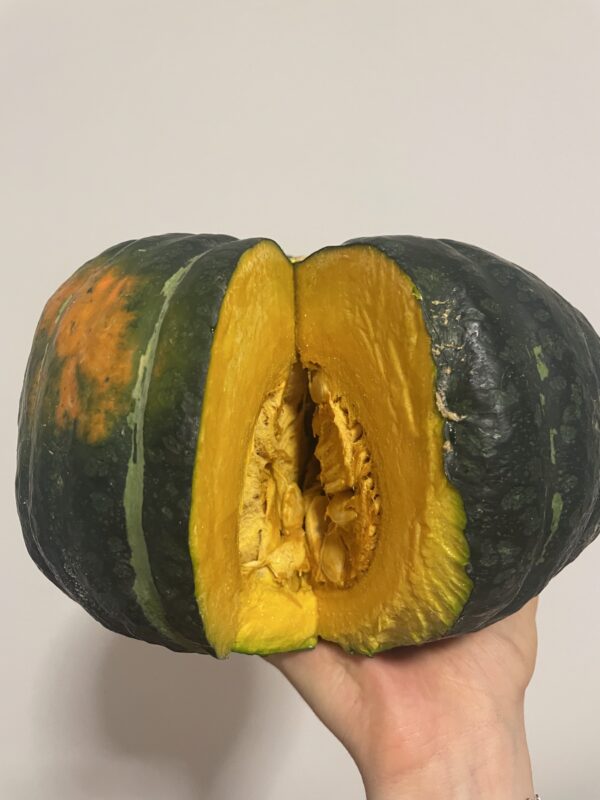 Reginetta Sicula | Dulcimaks Adelasia | DRY | Happy Box [9kg c.a.] - immagine 2