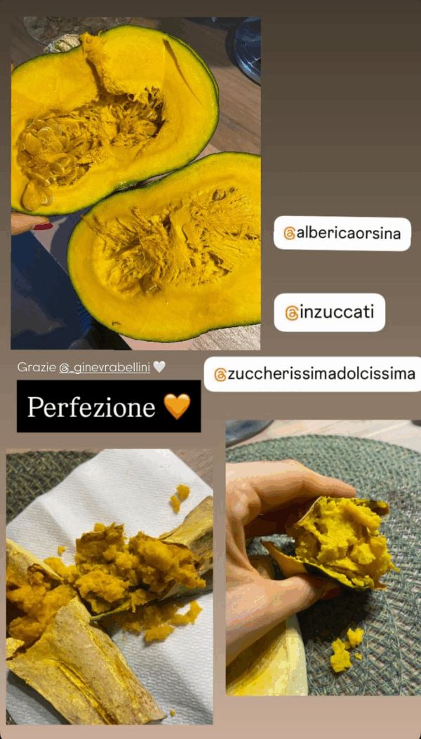 Dulcinera PARADISO | Fashion Dry | Mini Box [5kg c.a] - immagine 6