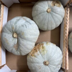 ANTISPRECO | Vanity Carducci [8.5kg c.a.]