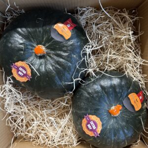 Stella22 LOTUS | Mini Box 6kg
