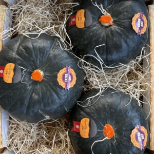Stella22 LOTUS | Happy Box 9kg