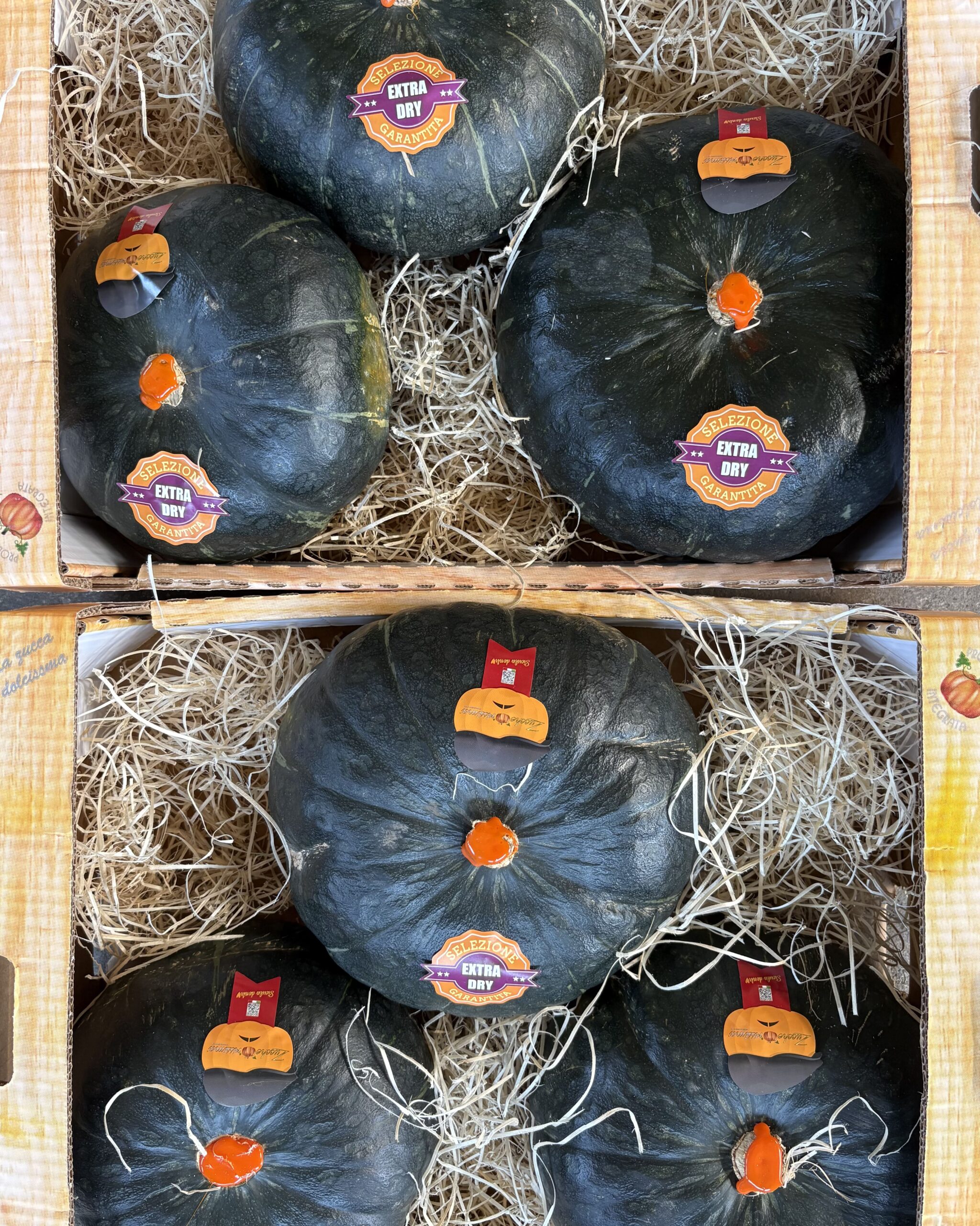 Stella22 LOTUS | Super Box 18kg