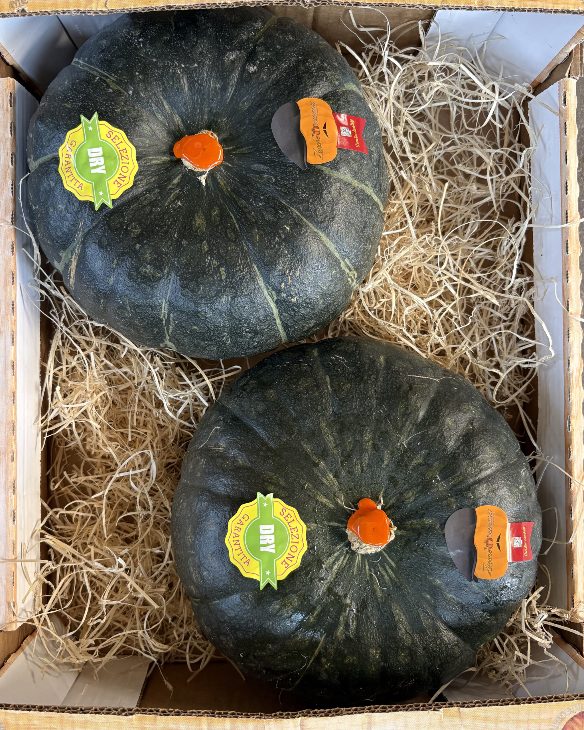 Stella22 FIORONE | Happy Box 8kg