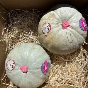 Vanity LATTE | Mini Box [5kg c.a]