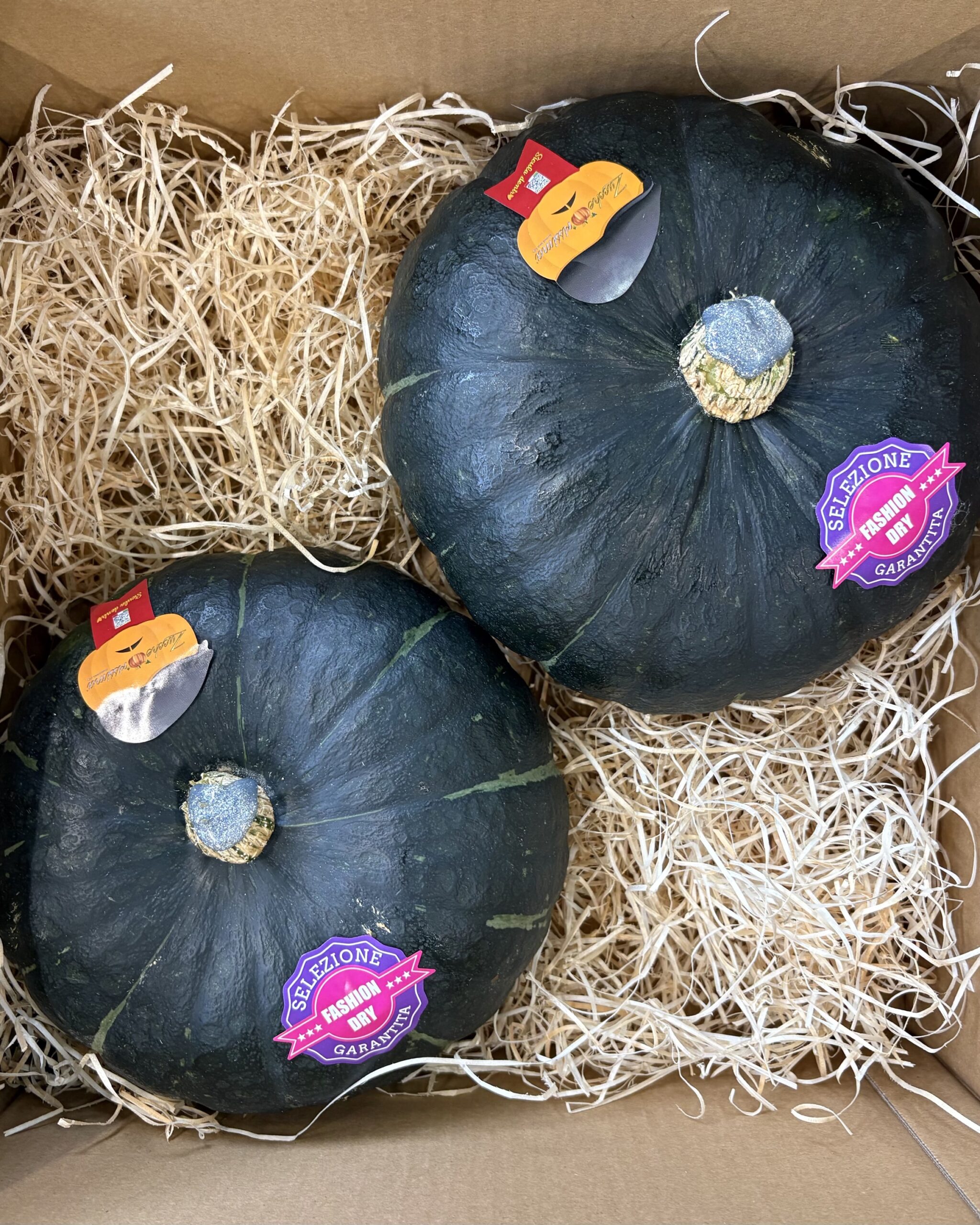 Stella22 ICE | Mini Box 6kg