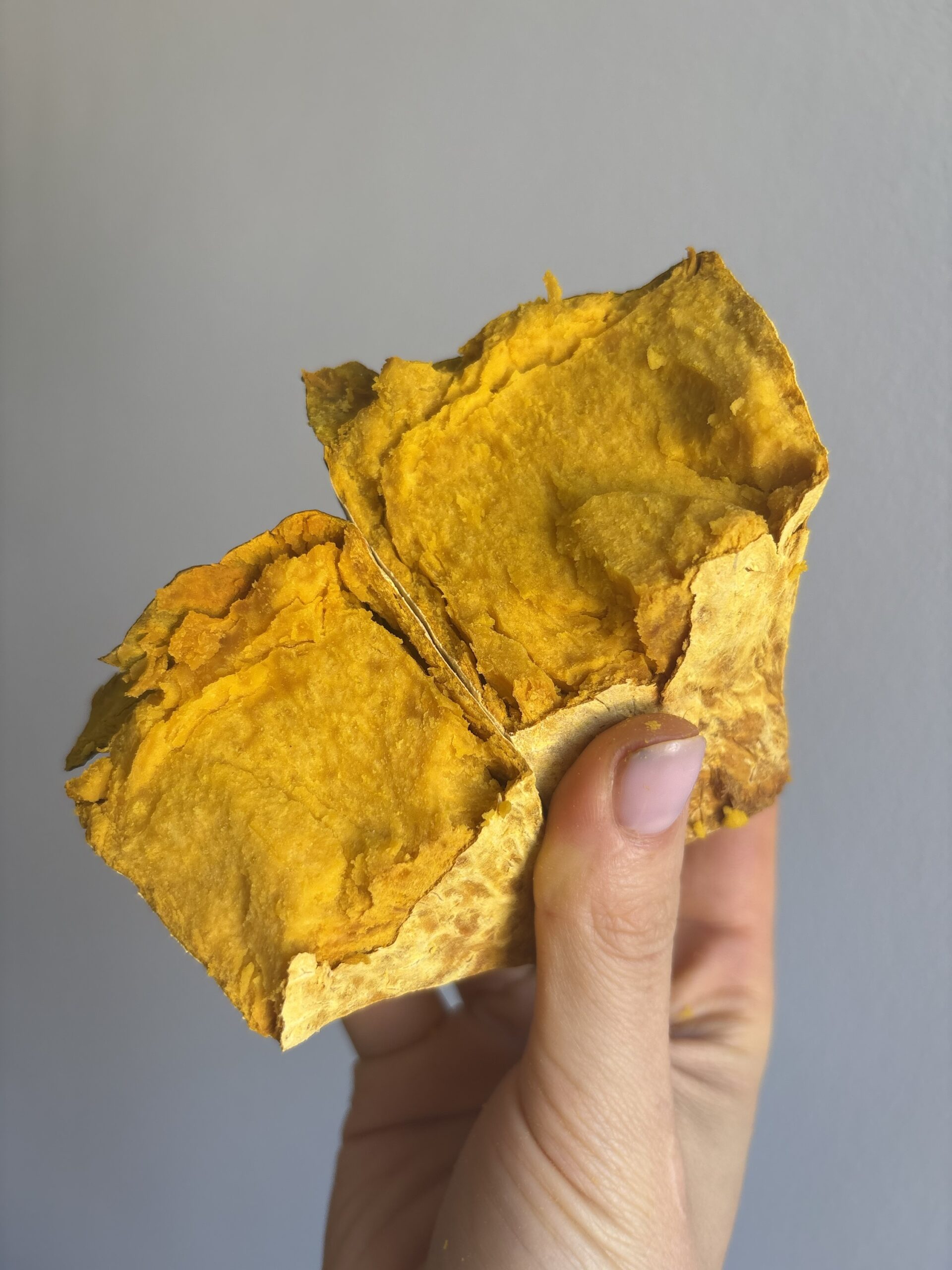 Stella22 ICE | ZUCCA SINGOLA +4kg - immagine 5