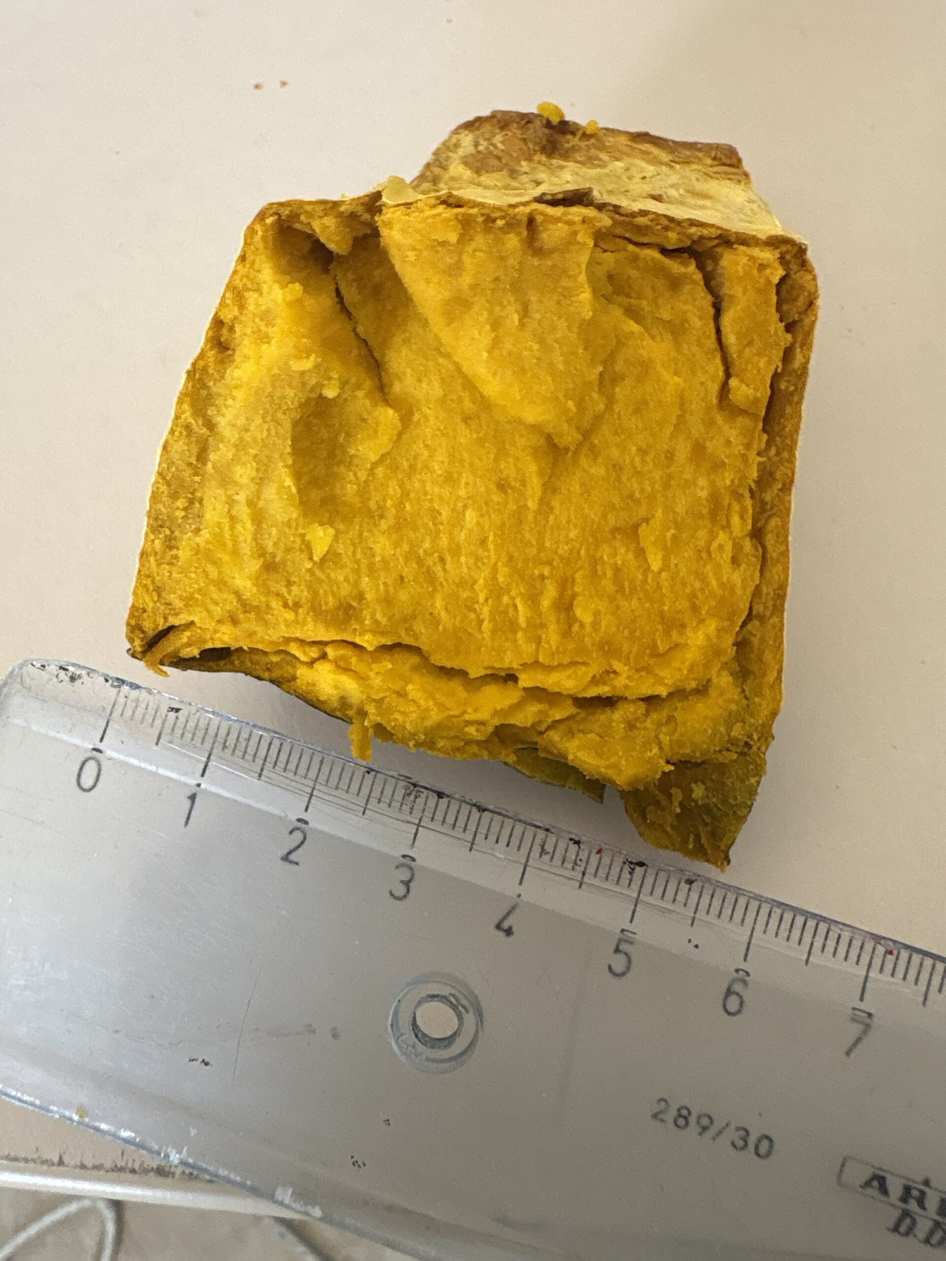 Stella22 ICE | ZUCCA SINGOLA +4kg - immagine 4