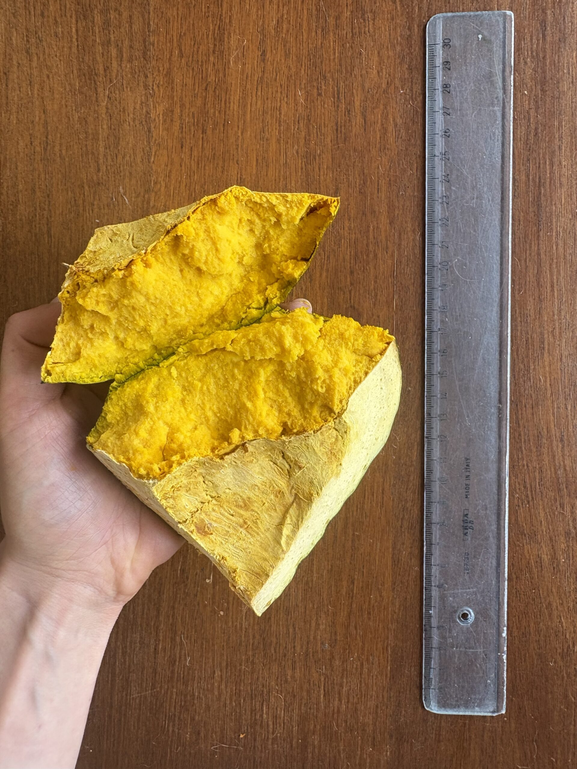 Stella22 ICE | ZUCCA SINGOLA +4kg - immagine 3