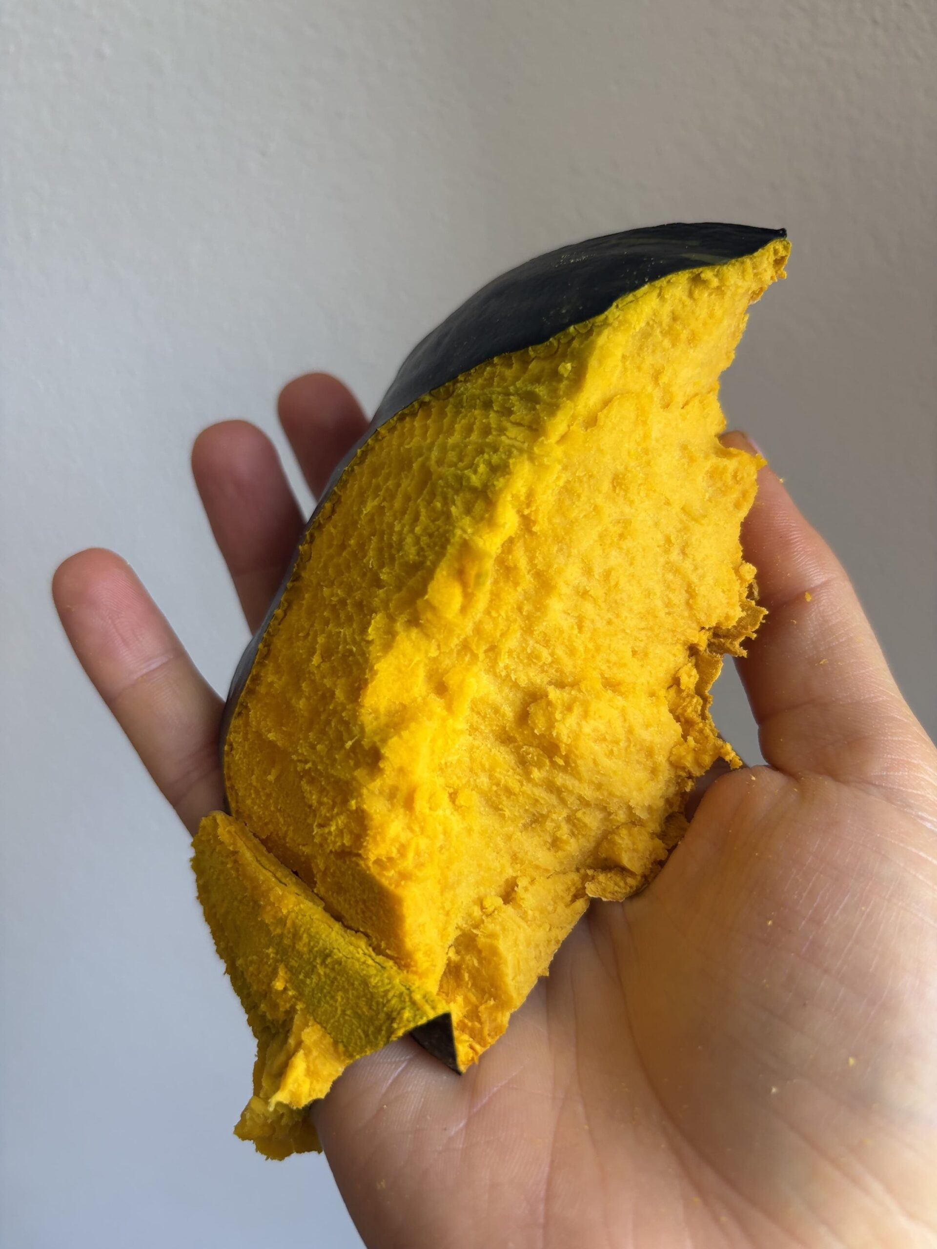Stella22 ICE | ZUCCA SINGOLA +4kg - immagine 2