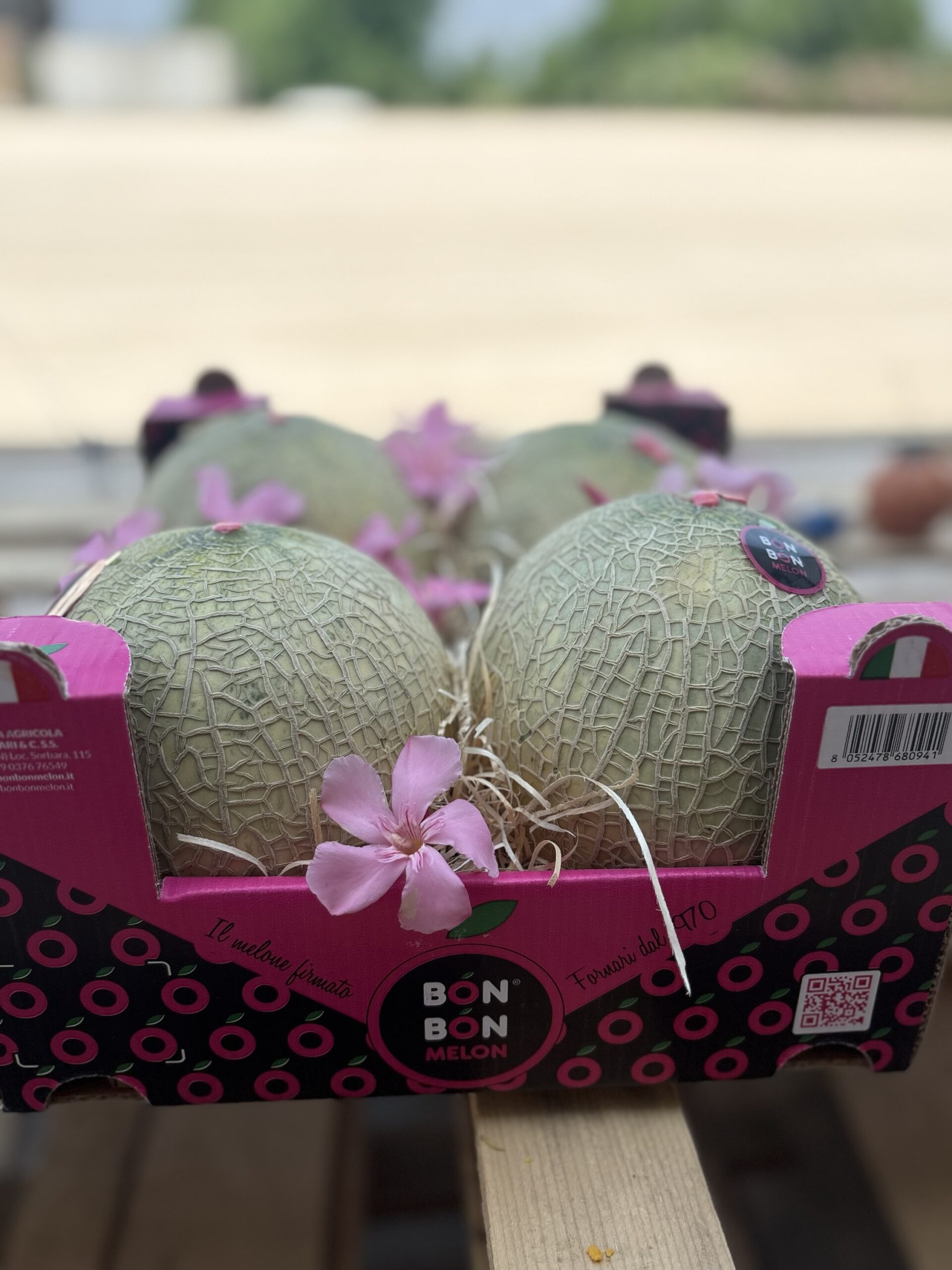 Bòn Bòn Melon | cassetta 6kg c.a. - immagine 6