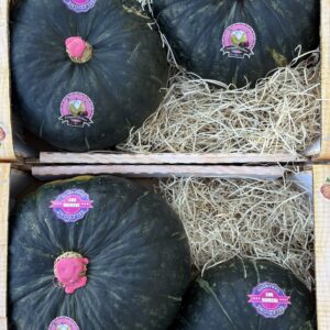 Stella22 CARDUCCI | Super Box 19kg