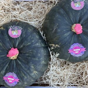 Stella22 CARDUCCI | Happy Box 9/10kg