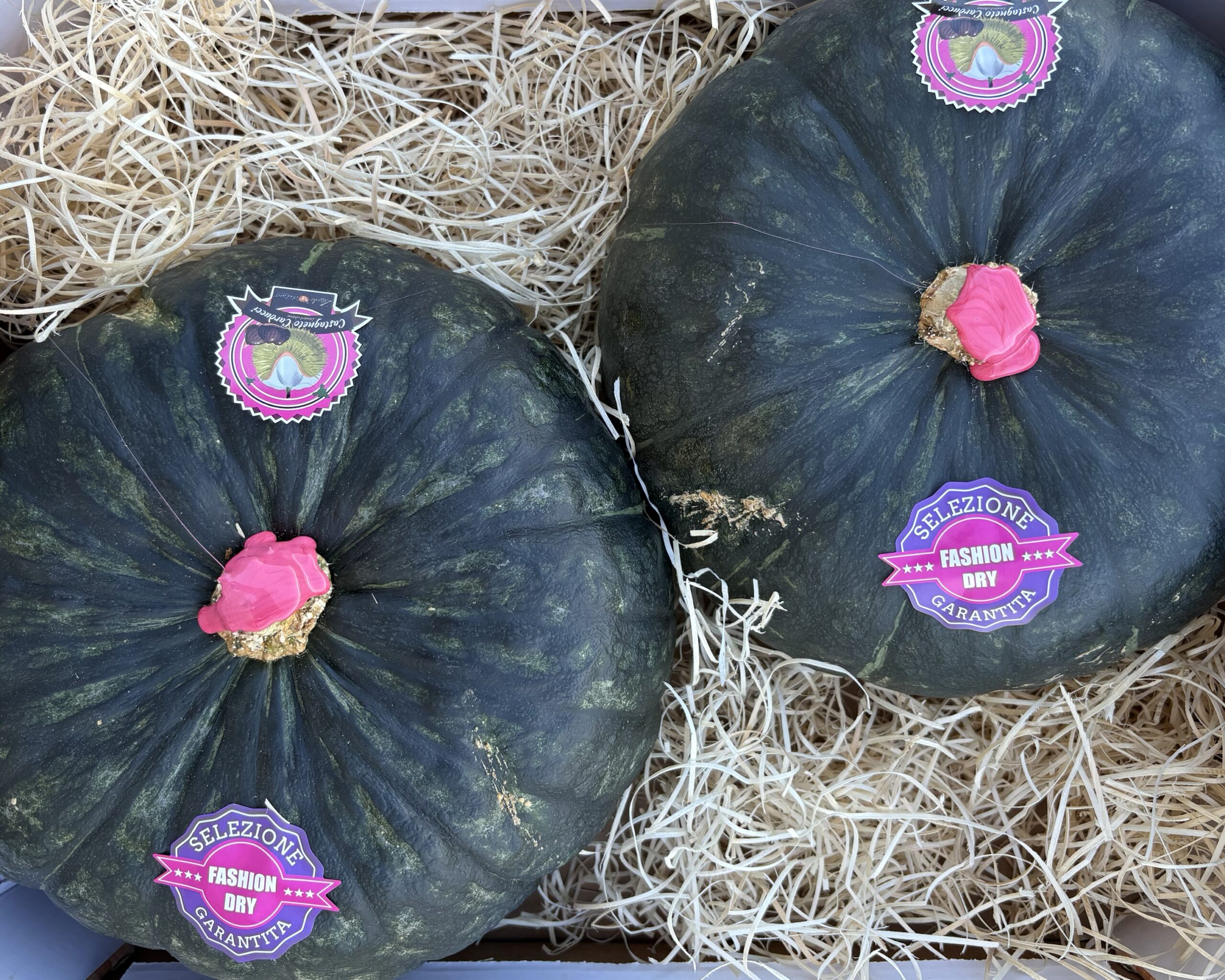 Stella22 CARDUCCI | Happy Box 9/10kg
