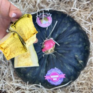 Stella22 CARDUCCI | Mini Box 6kg c.a